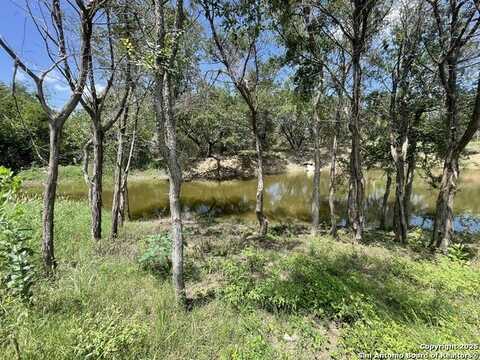 Lot A Ranch Rd 165, Blanco, TX 78606