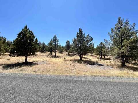 Unit 5-2 Lot 48 Browndeer Rd., Weed, CA 96094