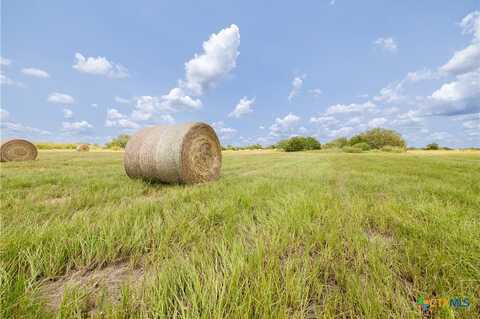 Lot 4 Fm-86, Lockhart, TX 78644