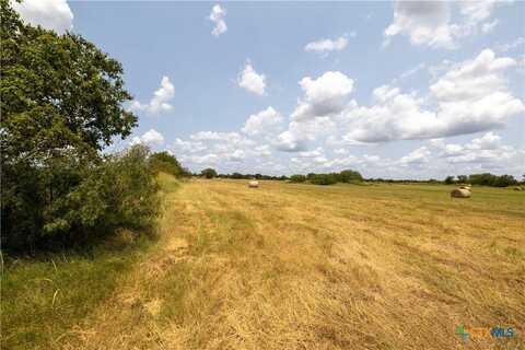 Lot 2 Tenney Creek Rd, Lockhart, TX 78644