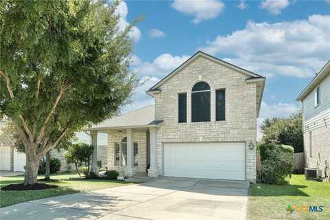 10921 Dodge Cattle Drive, Austin, TX 78717