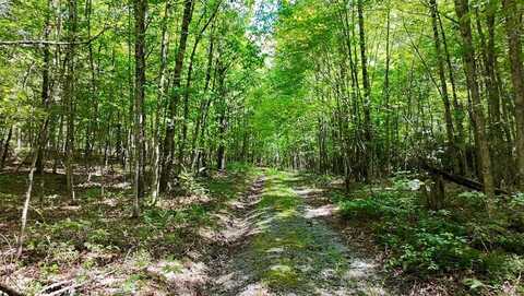 Tbd Crawfish Rd, Atkins, VA 24311
