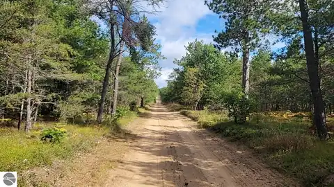 Killeen Trail, Grayling, MI 49738