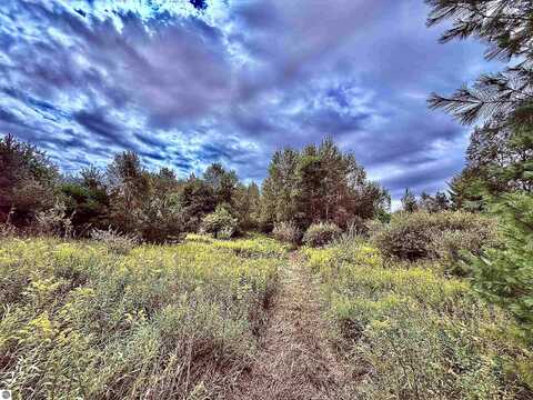 Parcel C M-113, Kingsley, MI 49649