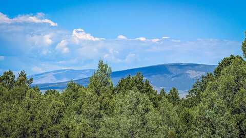 00 Forest Rd 9, Lama, NM 87556