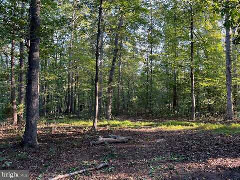 14285 WOODS VIEW LN, REVA, VA 22735