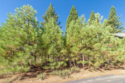 11304 Wolverine Circle, Truckee, CA 96161