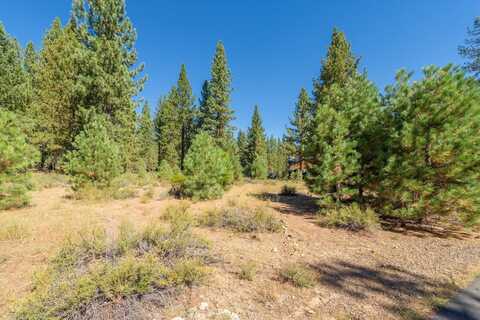 11268 Wolverine Circle, Truckee, CA 96161