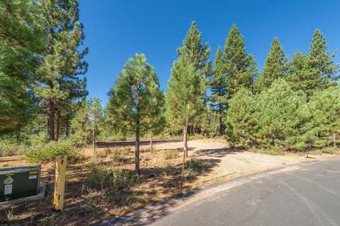 11308 Wolverine Circle, Truckee, CA 96161