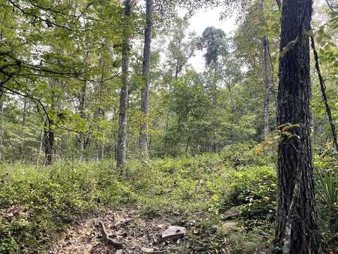 Off Buckridge Rd- 30.5 Acres, CROSSVILLE, TN 38572