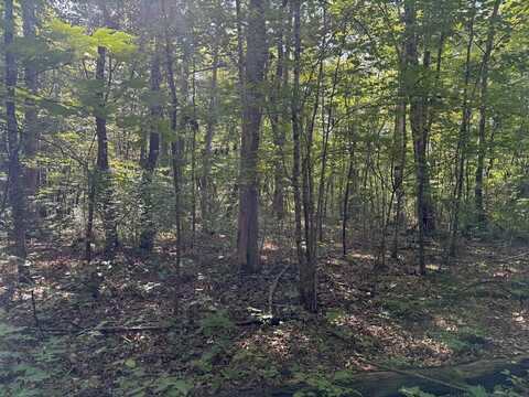 Lot 11 Jumpoff Place, MONTEREY, TN 38574