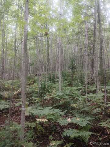 TBD Ruohonen Rd, Houghton, MI 49931