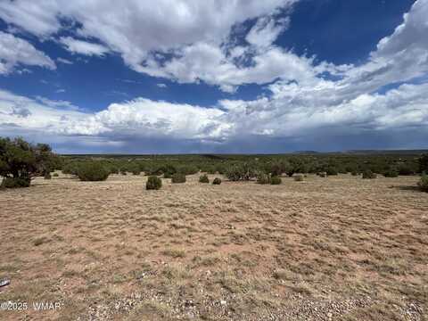 4205 Colt Road, Snowflake, AZ 85937