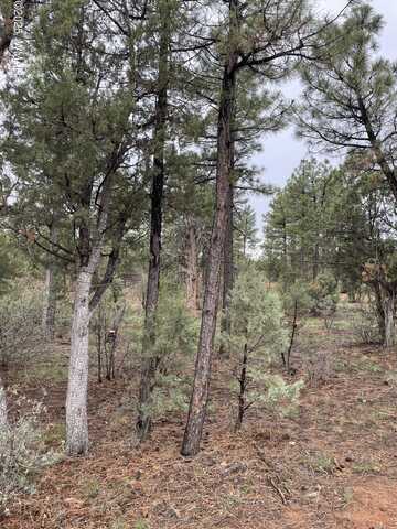 590 S Pine Haven Drive, Show Low, AZ 85901