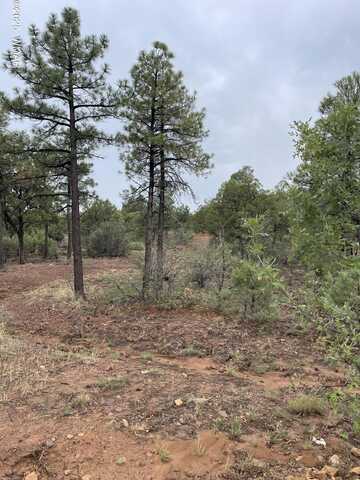 631 S Haven Drive, Show Low, AZ 85901