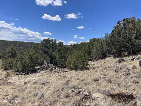 15 Oak Drive, Concho, AZ 85924