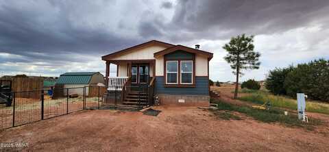 3015 W Jasmine Lane, Snowflake, AZ 85937