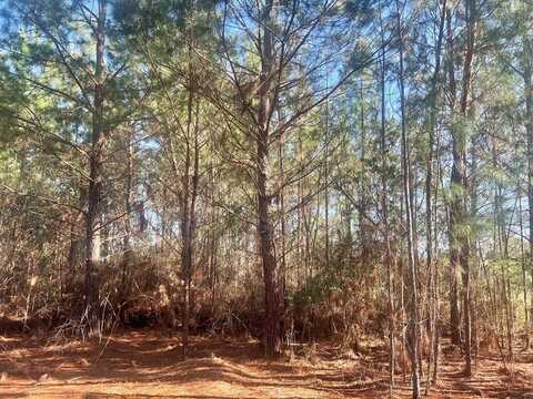 00 Elizabeth Church Rd, Hazlehurst, GA 31539