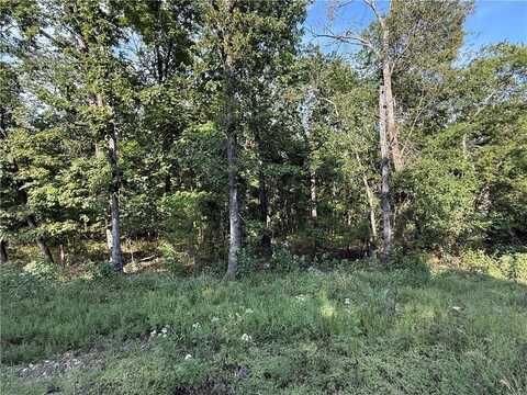 36 Venus AVE, Holiday Island, AR 72631
