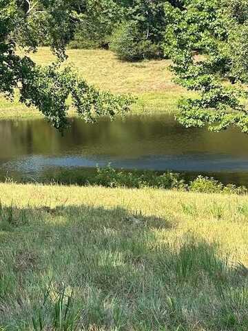 Pine ST, Hector, AR 72843