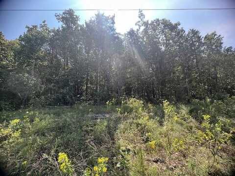 20 Sunset LN, Holiday Island, AR 72631