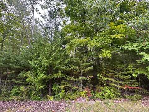Renwick Circle lot: 46, Presque Isle, MI 49777