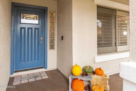 4660 E TORREY PINES Lane, Chandler, AZ 85249