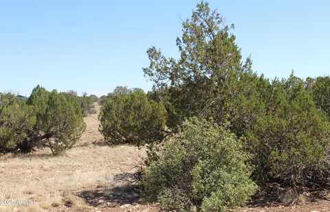 Sec 9 T14N,R16E: Sw4 Nw4 Sw4 --, Heber, AZ 85928