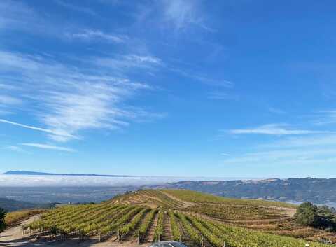 4420 Cavedale Road, Glen Ellen, CA 95442