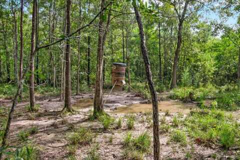 000 TEXAS STATE HWY 62, Buna, TX 77612