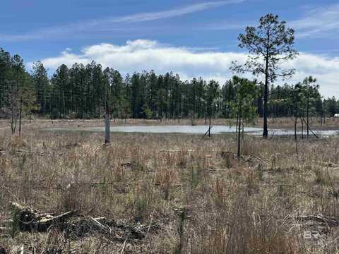 4 County Road 64, Robertsdale, AL 36567