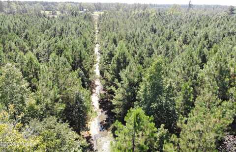 Tbd Old Buckhead Road, Bamberg, SC 29003