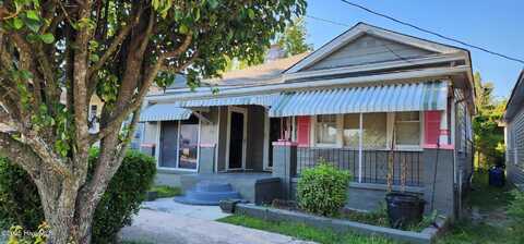 1007 Chestnut Street, Wilmington, NC 28401
