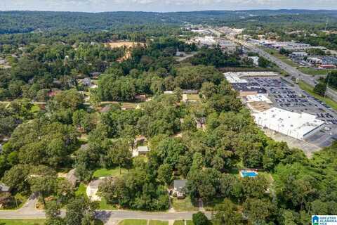 1924 CHARLOTTE DRIVE, HOOVER, AL 35226