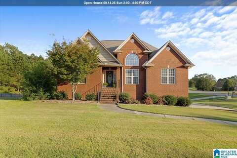 10 FIELD LANE, ODENVILLE, AL 35120