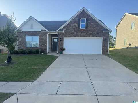 5803 MOUNTAIN VIEW TRAIL, BESSEMER, AL 35022