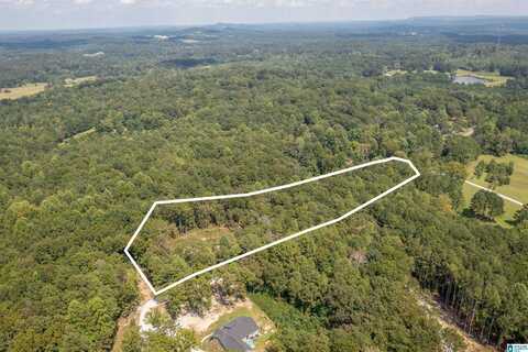 128 COUNTY ROAD 928, DELTA, AL 36258