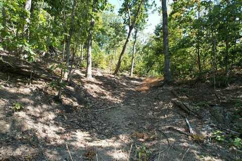 0 Evans sisters rd, Flemingsburg, KY 41041