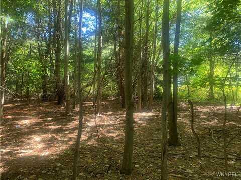 9164 Gowanda State Road, Eden, NY 14057