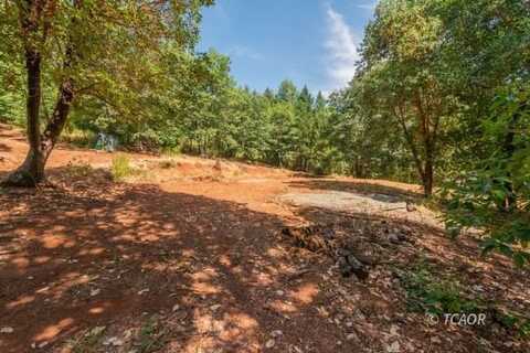 171 Connor Creek Rd, Junction City, CA 96048