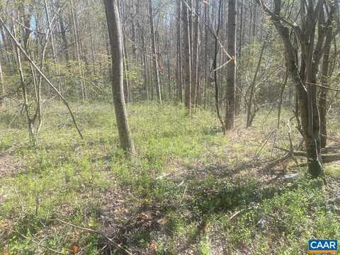 KING SOLOMON LN, ESMONT, VA 22937