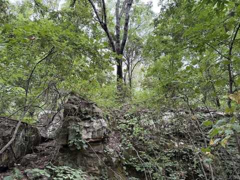 Tract 7 Terrapin Rd, Harrison, AR 72601