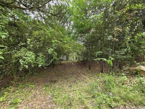 441 Polk Road 30, Hatfield, AR 71945