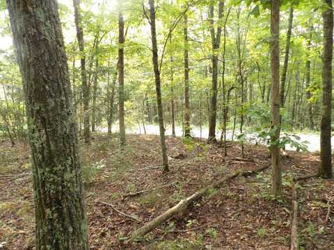 01 Johnson Lp Road, Pikeville, TN 37367