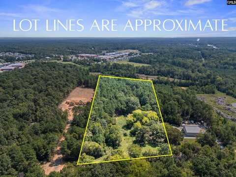 0 Mt. Olivet Church Road, Chapin, SC 29036