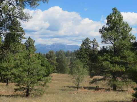 100 N Pinescent Court, Pagosa Springs, CO 81147