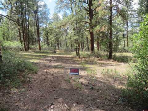 706 Hilltop Drive, Pagosa Springs, CO 81147