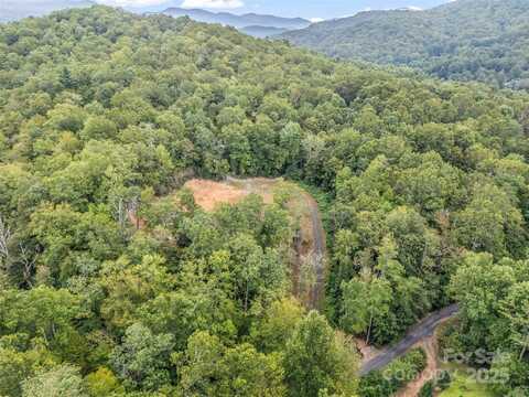 16 Wildcat Ridge Drive, Fairview, NC 28730