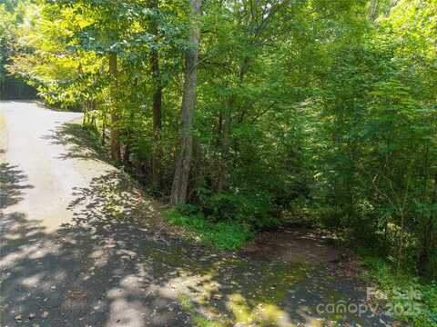 99999 Charlotte Highway unit: 60, Asheville, NC 28803