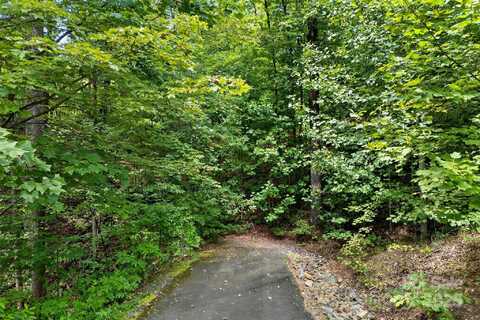 100 Comet Falls Trail unit: 235, Black Mountain, NC 28711